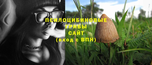 прущие грибы Белоозёрский