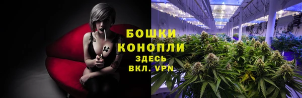 прущие грибы Белоозёрский