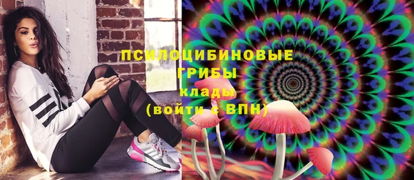 мдпв Богородицк