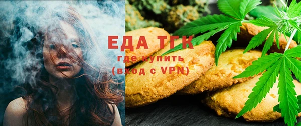 мдпв Богородицк