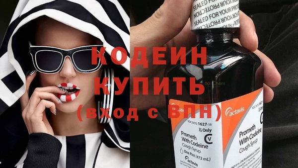 прущие грибы Белоозёрский