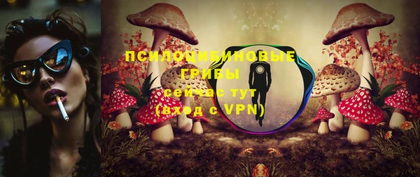 таблы Богородск