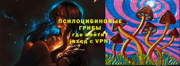 стаф Белокуриха
