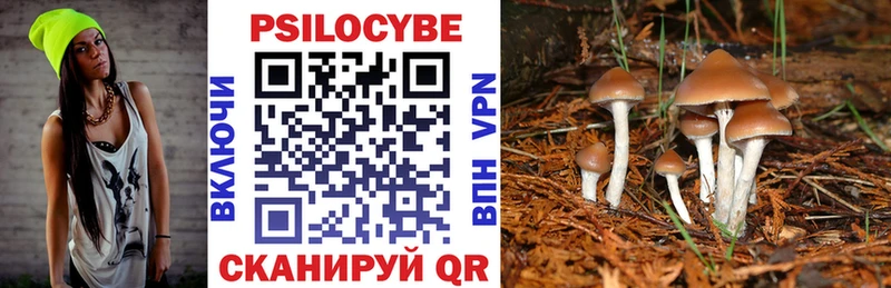 Псилоцибиновые грибы Cubensis Няндома